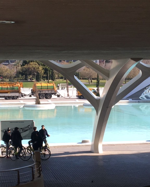 Extracciones Levante | Trabajos de limpieza en los lagos de la Ciudad de las Artes y las Ciencias