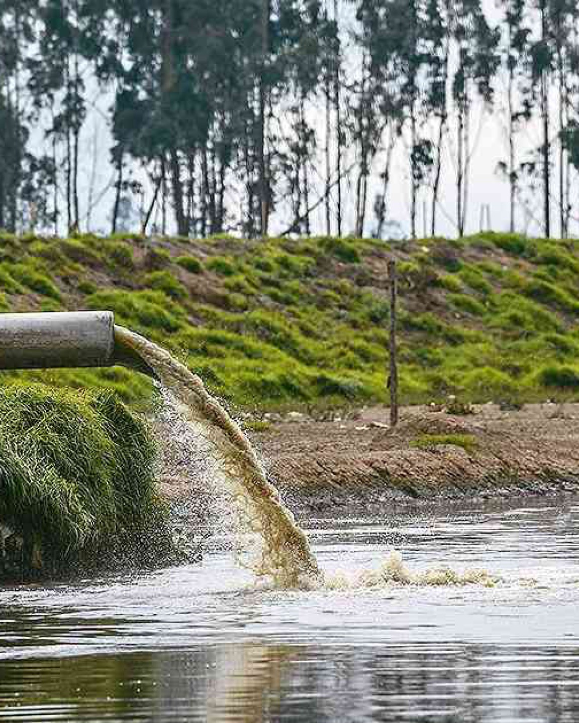 Extracciones Levante. Aguas residuales: y después de tirar de la cadena, ¿qué?