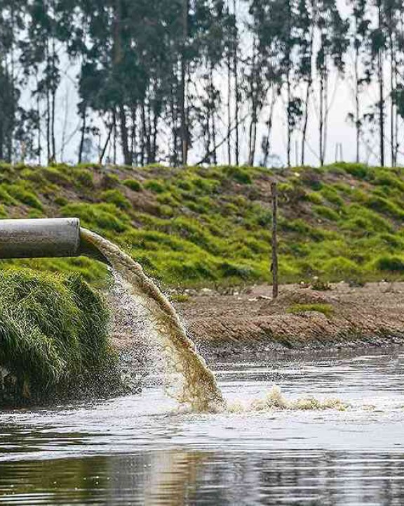 Extracciones Levante | Aguas residuales: y después de tirar de la cadena, ¿qué?